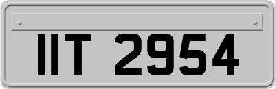 IIT2954