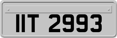 IIT2993