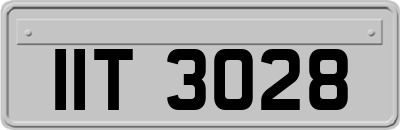 IIT3028