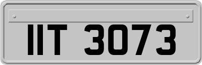 IIT3073