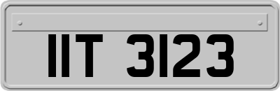 IIT3123