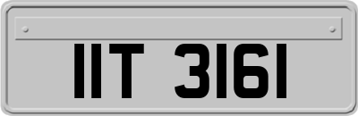 IIT3161