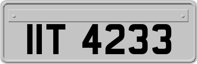 IIT4233