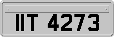 IIT4273