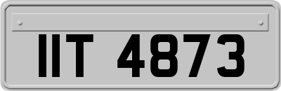 IIT4873