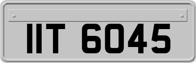 IIT6045