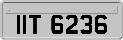 IIT6236