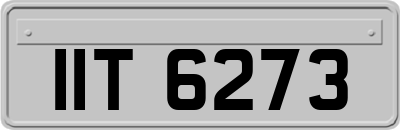 IIT6273