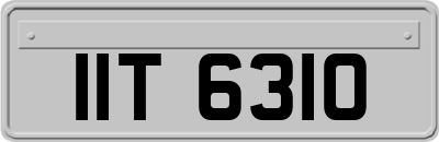 IIT6310