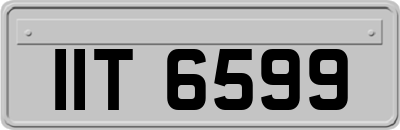 IIT6599
