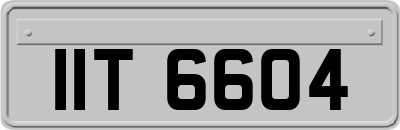 IIT6604