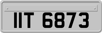 IIT6873
