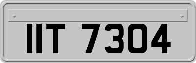 IIT7304