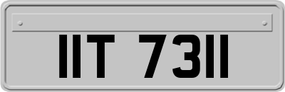 IIT7311