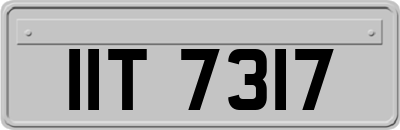 IIT7317