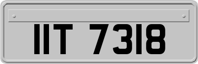 IIT7318