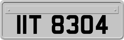 IIT8304