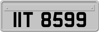 IIT8599