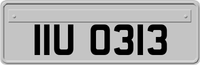 IIU0313
