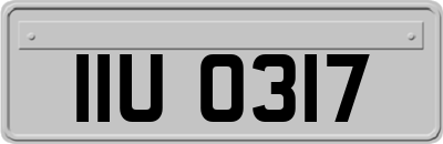 IIU0317