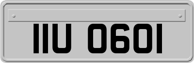 IIU0601