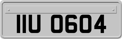 IIU0604
