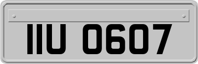 IIU0607