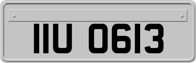 IIU0613