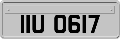 IIU0617