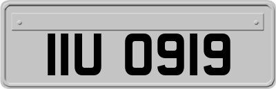 IIU0919