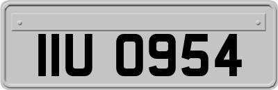 IIU0954