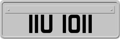 IIU1011