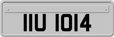 IIU1014