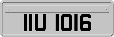 IIU1016