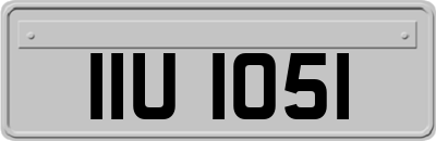 IIU1051