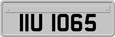 IIU1065