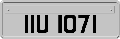 IIU1071