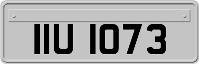 IIU1073