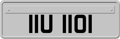 IIU1101