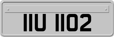 IIU1102