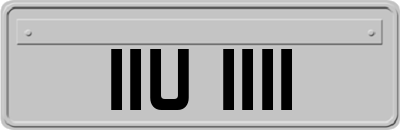IIU1111