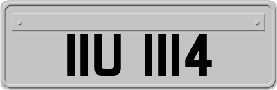 IIU1114