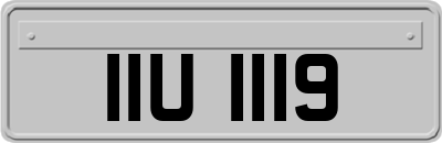 IIU1119