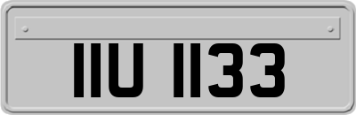IIU1133