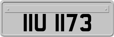 IIU1173