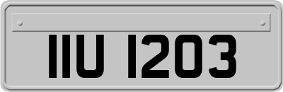 IIU1203