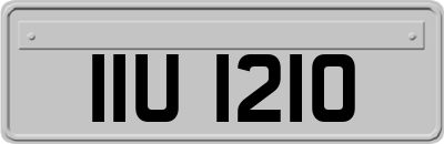 IIU1210