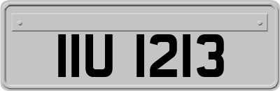 IIU1213