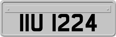IIU1224