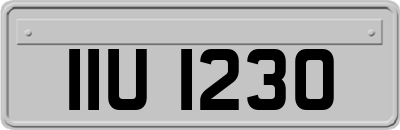 IIU1230